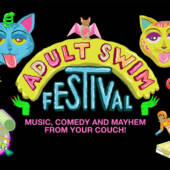 Adult Swim Festival