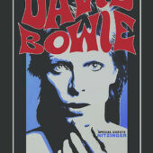 David Bowie and the Spiders From Mars Perform at Pirates World in Dania, Florida