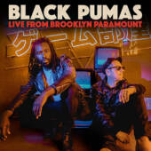 Black Pumas Live From Brooklyn Paramount is Released on Vinyl