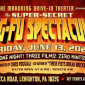 Super Secret Kung Fu Spectacular at Mahoning Drive-In Theater in 35MM